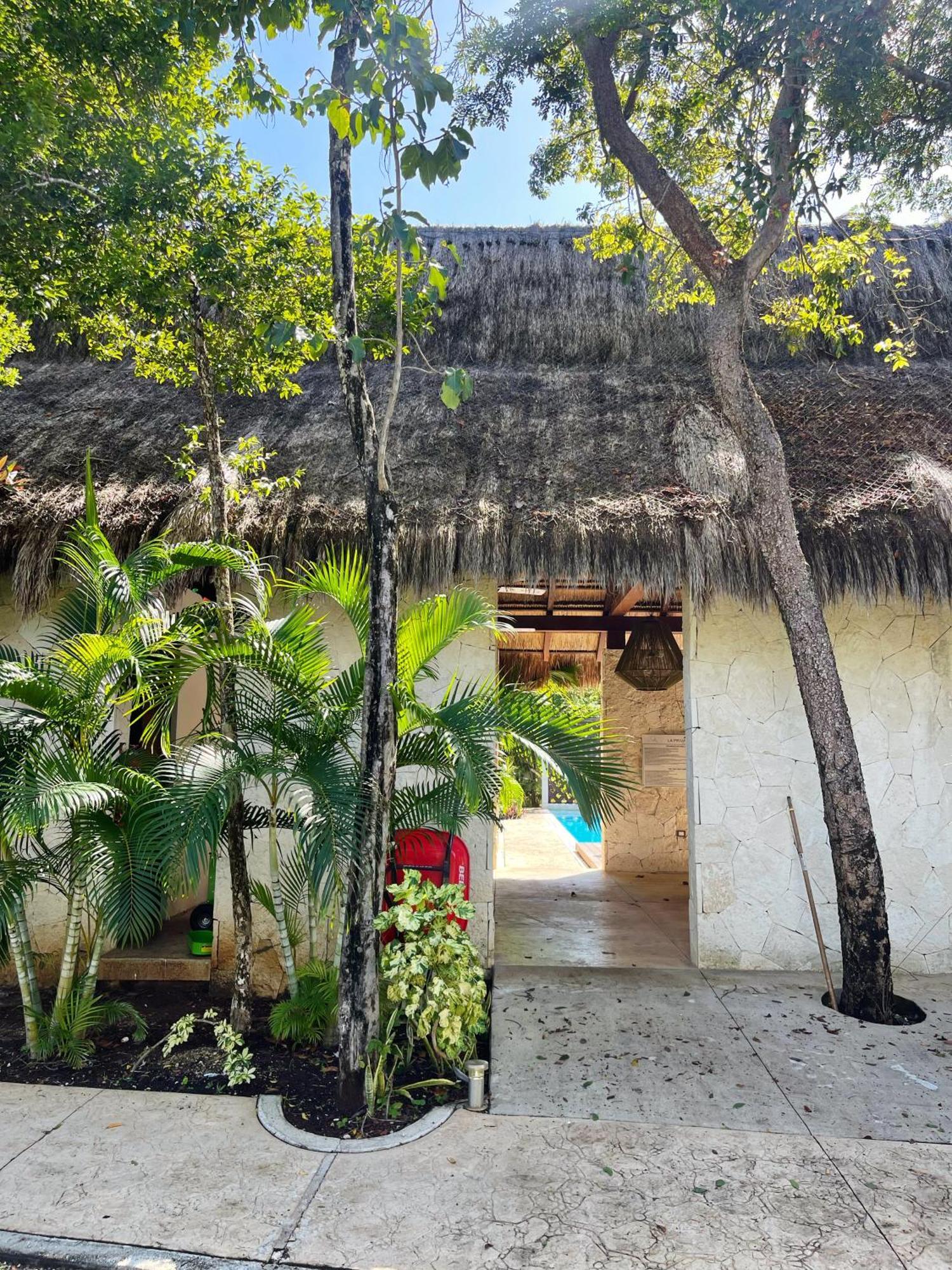 Villa Tikal Tulum Exteriér fotografie